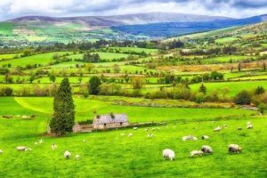 ireland