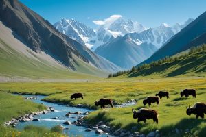 kyrgyzstan