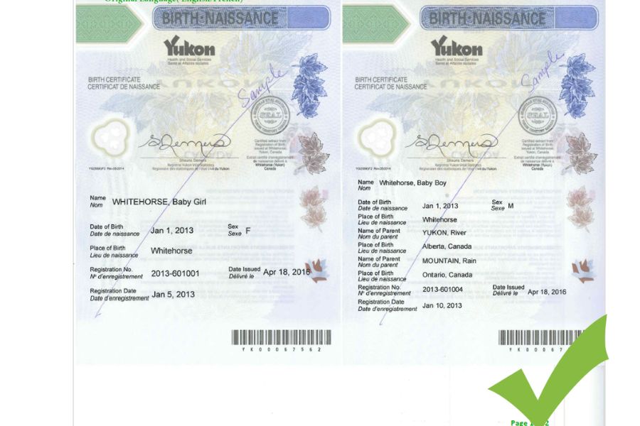 vietnam evisa application passport scan